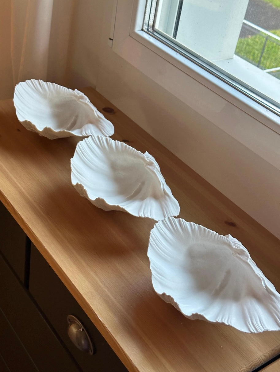 Muschelschale / Handarbeit / Dekoration