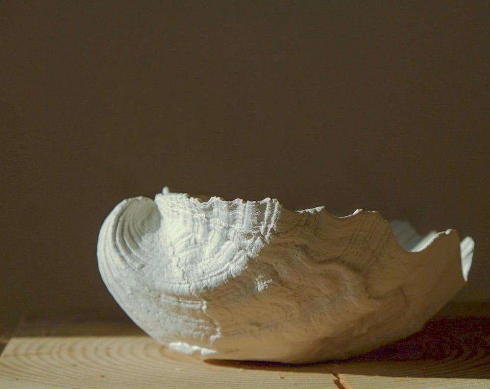 Shell Bowl / handmade / decoration